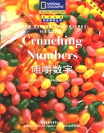 咀嚼数字
