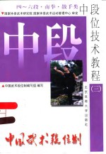 中国武术段位制  中段位技术<em>教程</em>  3  四-六段  南拳·散手类