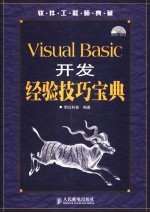 Visual Basic开发经验技巧<em>宝典</em>