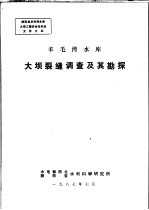 羊毛湾水库大坝裂缝调查及其勘探