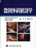 微创外科解剖学  2版
