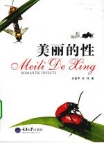 美丽的性