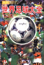 <em>世界</em>足球大全  <em>下</em>  第2版