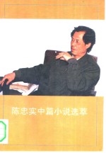 <em>陈<em>忠实</em></em>中篇小说选萃
