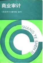 商业<em>审计</em>