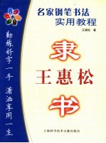 名家钢笔<em>书法</em>实用<em>教程</em>  王惠松隶书
