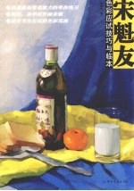 宋魁友色彩应试技巧与临本