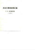 左右江革命史料汇编  第3辑  反面材料