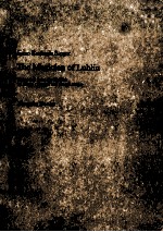 THE M<em>A</em><em>G</em>ICI<em>A</em><em>N</em> OF LUBLI<em>N</em>