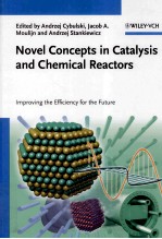 NOVEL CONCEPTS <em>IN</em> CATALYSIS AND CHEMICAL REACTORS