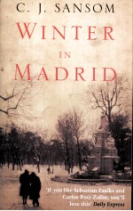 W<em>IN</em>TER <em>IN</em> MADRID
