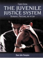 <em>THE</em> JUVENILE JUSTICE <em>SYSTEM</em>  DELINQUENCY