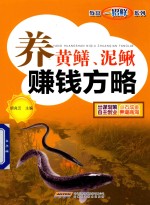养黄鳝  泥鳅赚钱方略