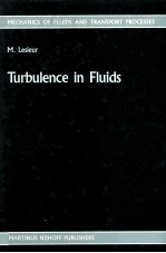 TURBULENCE <em>IN</em> FLUIDS STOCHASTIC AND NUMERICAL MODELL<em>IN</em>G