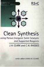 CLEA<em>N</em> SY<em>N</em>THESIS USI<em>N</em>G POROUS I<em>N</em>ORGA<em>N</em>IC SOLID CATALYSTS A<em>N</em>D SUPPORTED REAGE<em>N</em>TS