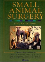 Small Animal <em>Surgery</em>