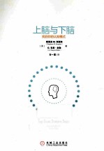 上脑与下脑  找到你的认知模式