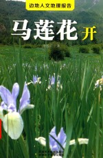 边地人文地理报告  马莲花开