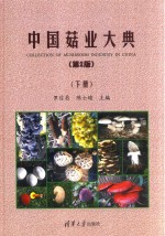 中国菇业大典  第2版  下