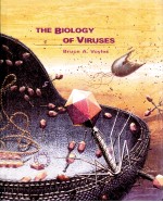 THE BIOLOGY OF VIRU<em>S</em>E<em>S</em>