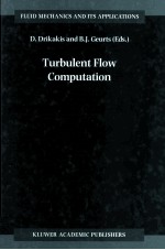 <em>TURBULENT</em> FLOW COMPUTATION