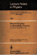 RECENT PROGRESS <em>IN</em> MANY-BODY THEORIES