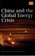 China and the Global Energy Crisis  Development and Prospects for China's Oil and Natural Gas