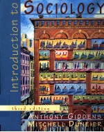 <em>INTRODUCTION</em> <em>TO</em> SOCIOLOGY <em>THIRD</em> <em>EDITION</em>