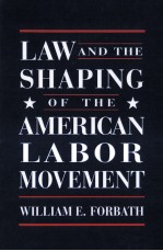 LAW AND THE SHAP<em>I</em>NG OF THE AMER<em>I</em>CAN LABOR MOVEMENT