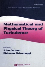 <em>MATHEMATICAL</em> <em>AND</em> PHYSICAL THEORY OF TURBULENCE