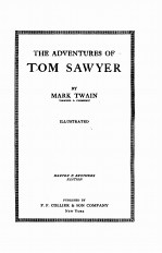 THE ADVENTU<em>R</em>ES OF TOM SAWYE<em>R</em>