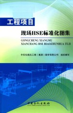 工程<em>项目</em>HSE标准化图集