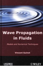 WAVE PROPAGATION <em>IN</em> FLUIDS MODELS <em>AND</em> NUMERICAL <em>TECHNIQUES</em>