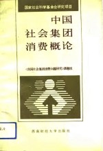 中国<em>社会</em>集团消费概论