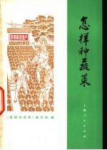 <em>怎样</em>种蔬菜
