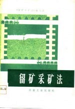 留<em>矿</em>采<em>矿</em>法