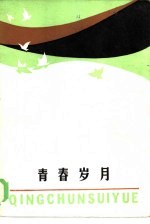 <em>青春</em><em>岁月</em>  当代青年小报告文学选
