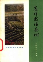 <em>怎样</em>栽培茶树
