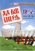 化学<em>基础</em>训练  九年级  上下