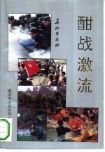 酣战激流  1991年<em><em>南京</em><em>军区</em></em>抗洪救灾纪实