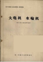 <em>大</em>电机  水输机