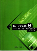 电子政务  战略、标准、绩效与智能决策