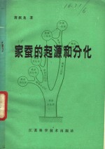 家蚕的起源和分化