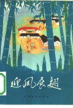 迎风展翅  报告文学集