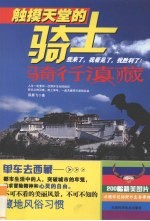触摸天堂的<em>骑士</em>