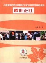 秋叶正红  云南省第四轮全球基金  中英艾滋病项目最佳实践
