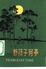 野孩子<em>阿</em>亭