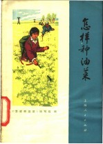 <em>怎样</em>种油菜