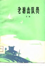 老游击队员  短篇小说集