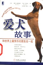 爱犬故事  和世界上最快乐的朋友在一起